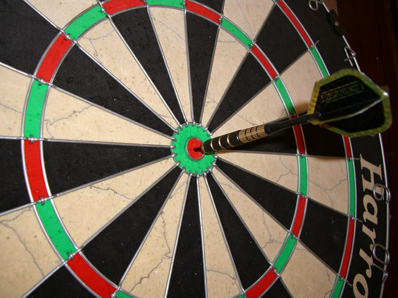 How the Dart Experts Talk the Talk